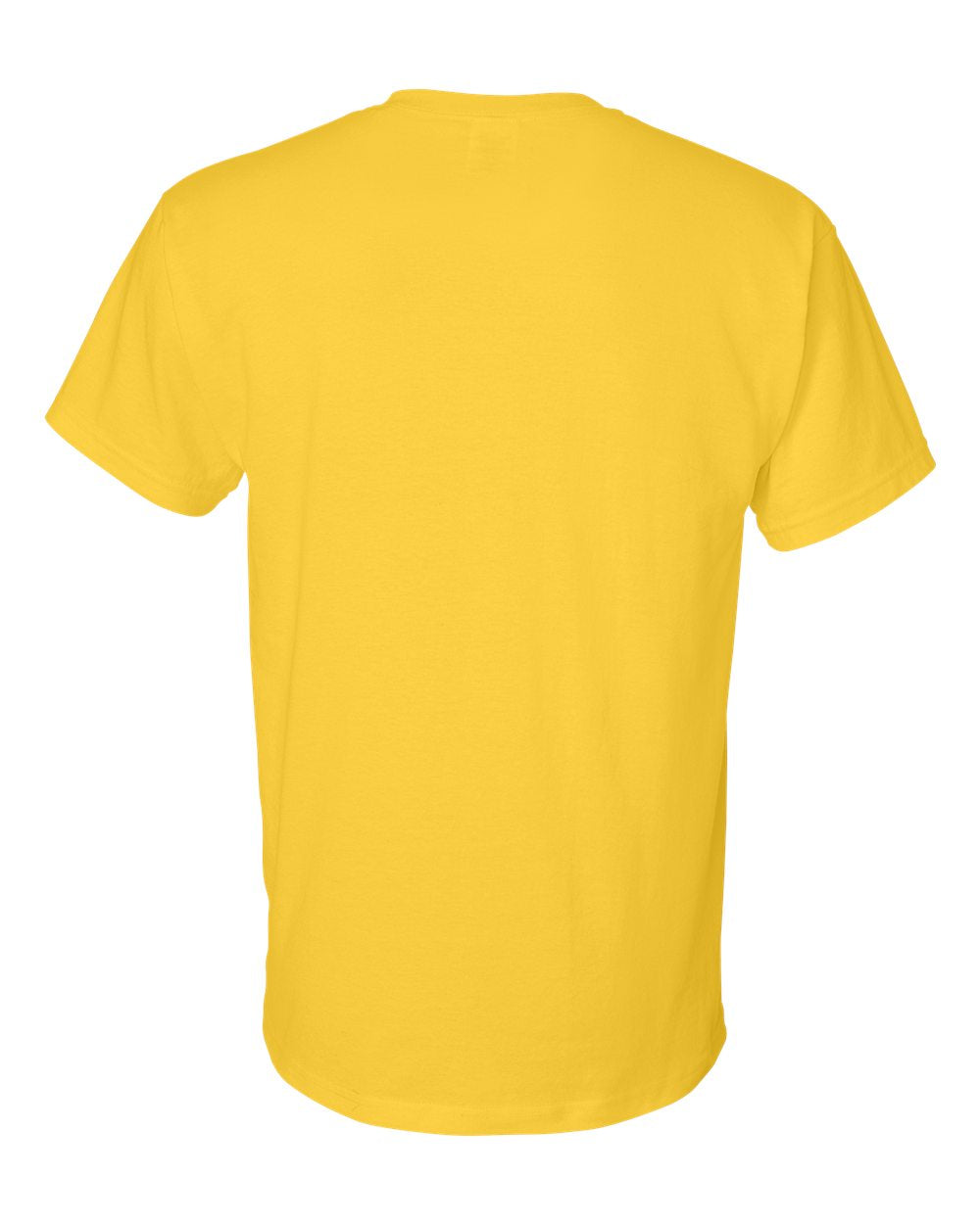 Gildan 8000 Unisex DryBlend 50/50 T-Shirt | Custom Print