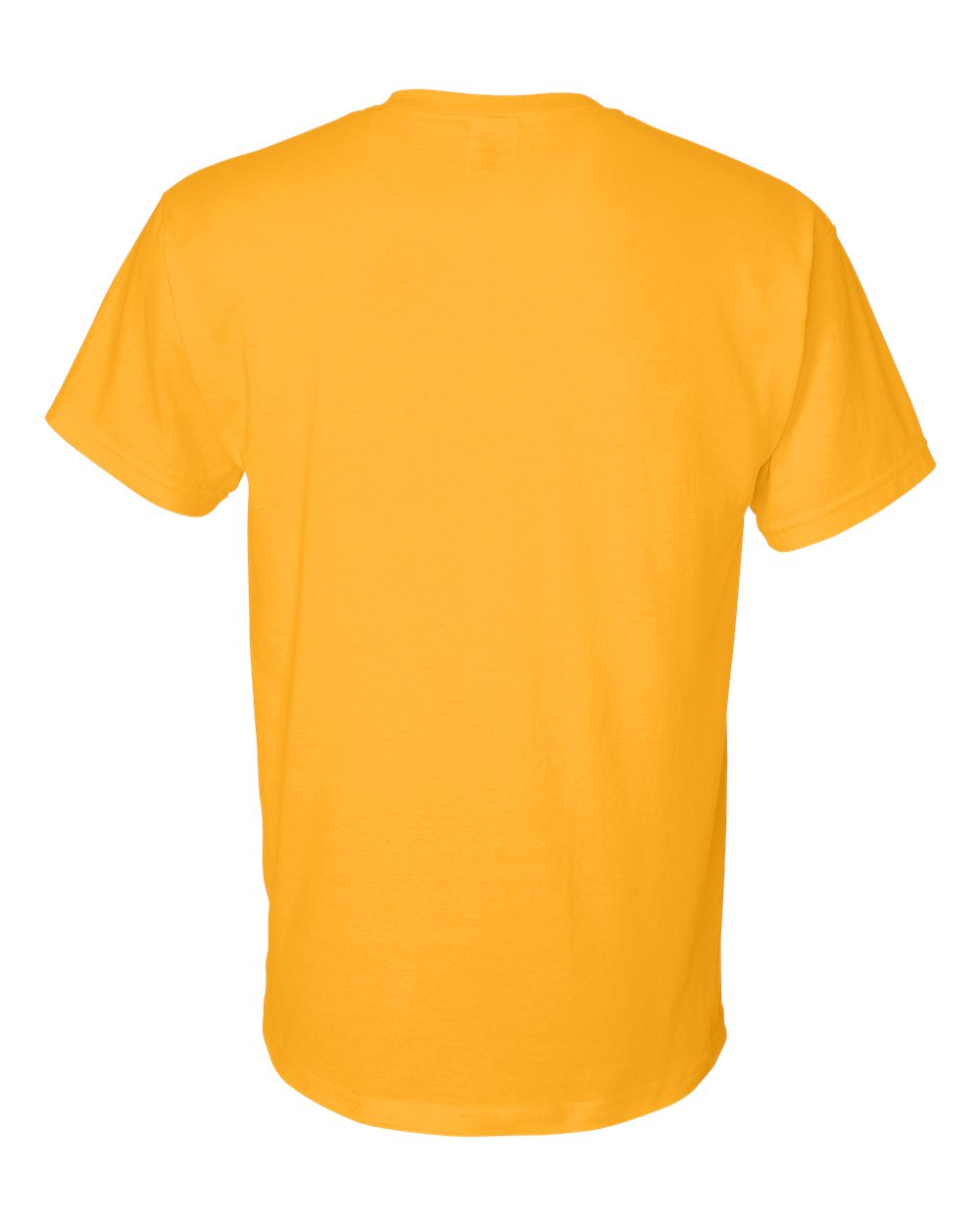 Gildan 8000 Unisex DryBlend 50/50 T-Shirt | Custom Print