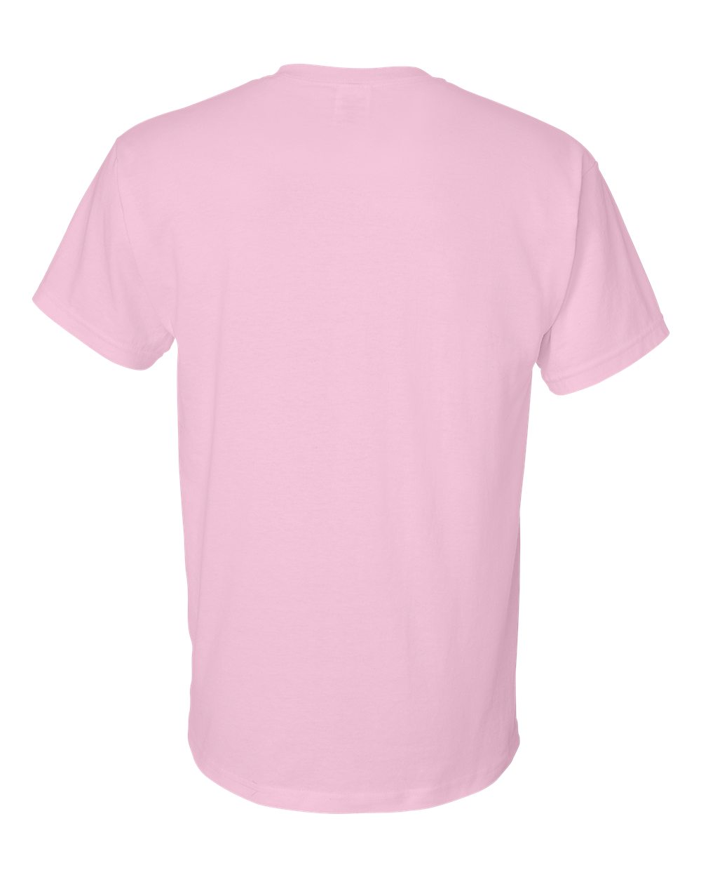 Gildan 8000 Unisex DryBlend 50/50 T-Shirt | Custom Print