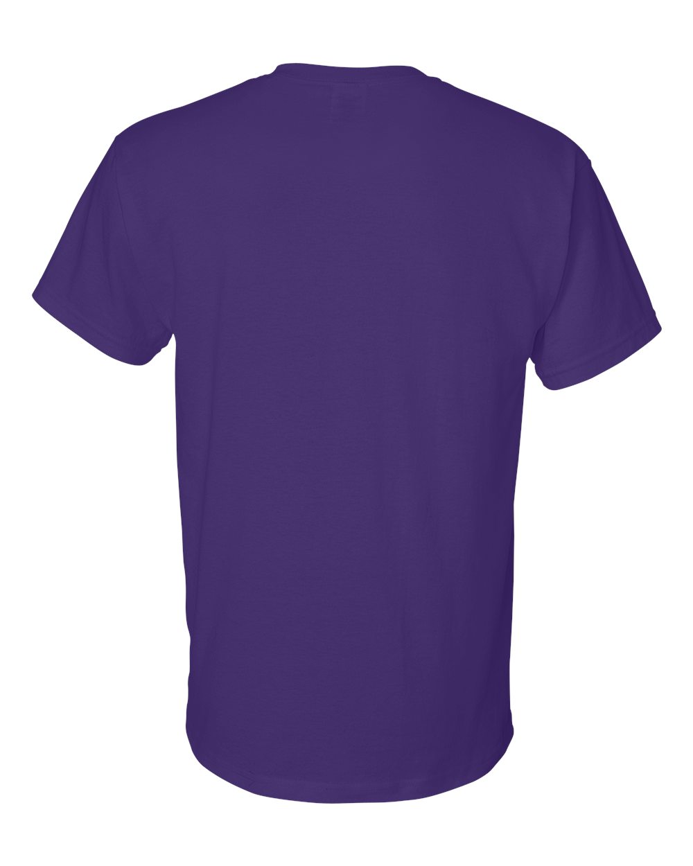Gildan 8000 Unisex DryBlend 50/50 T-Shirt | Custom Print