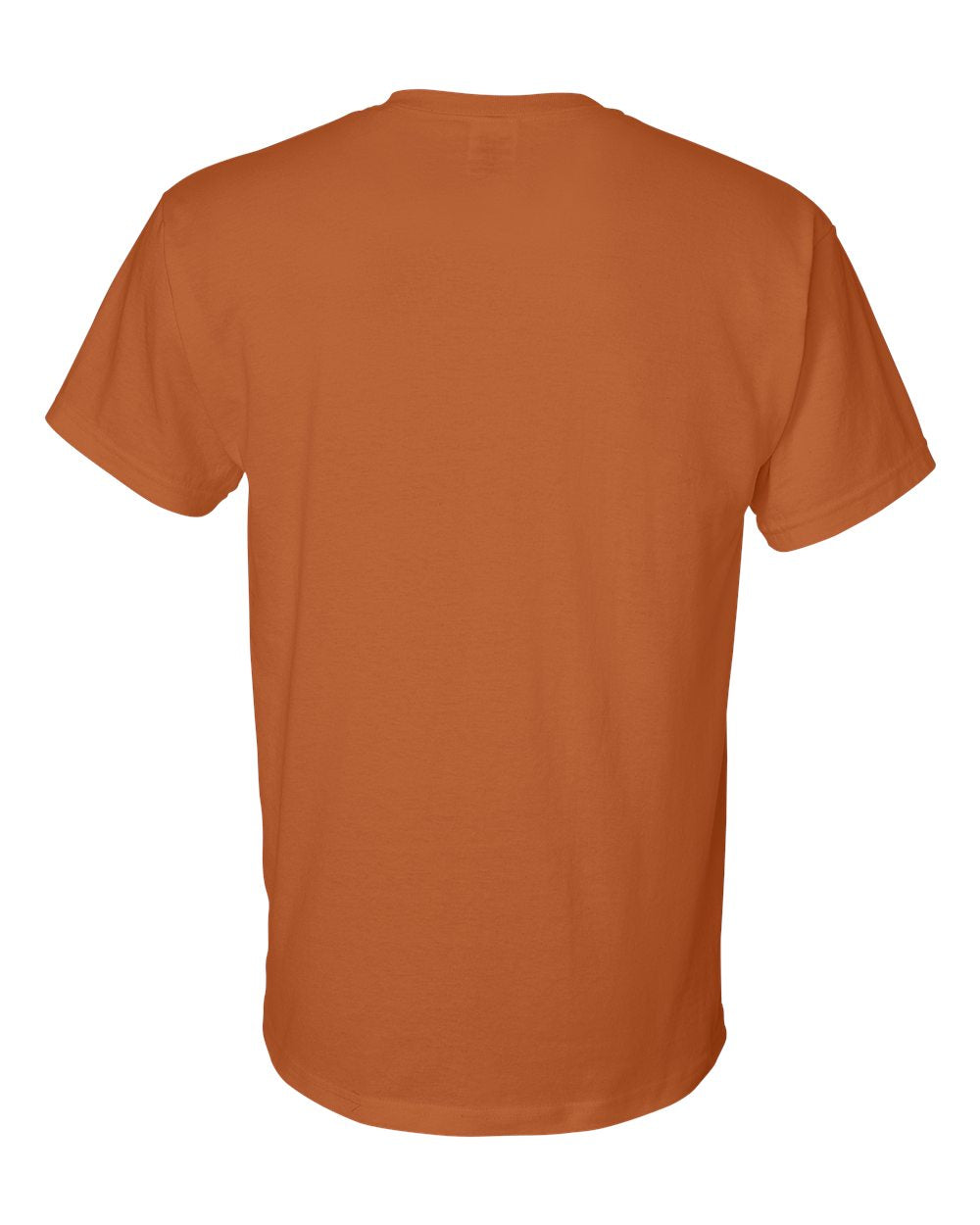 Gildan 8000 Unisex DryBlend 50/50 T-Shirt | Custom Print
